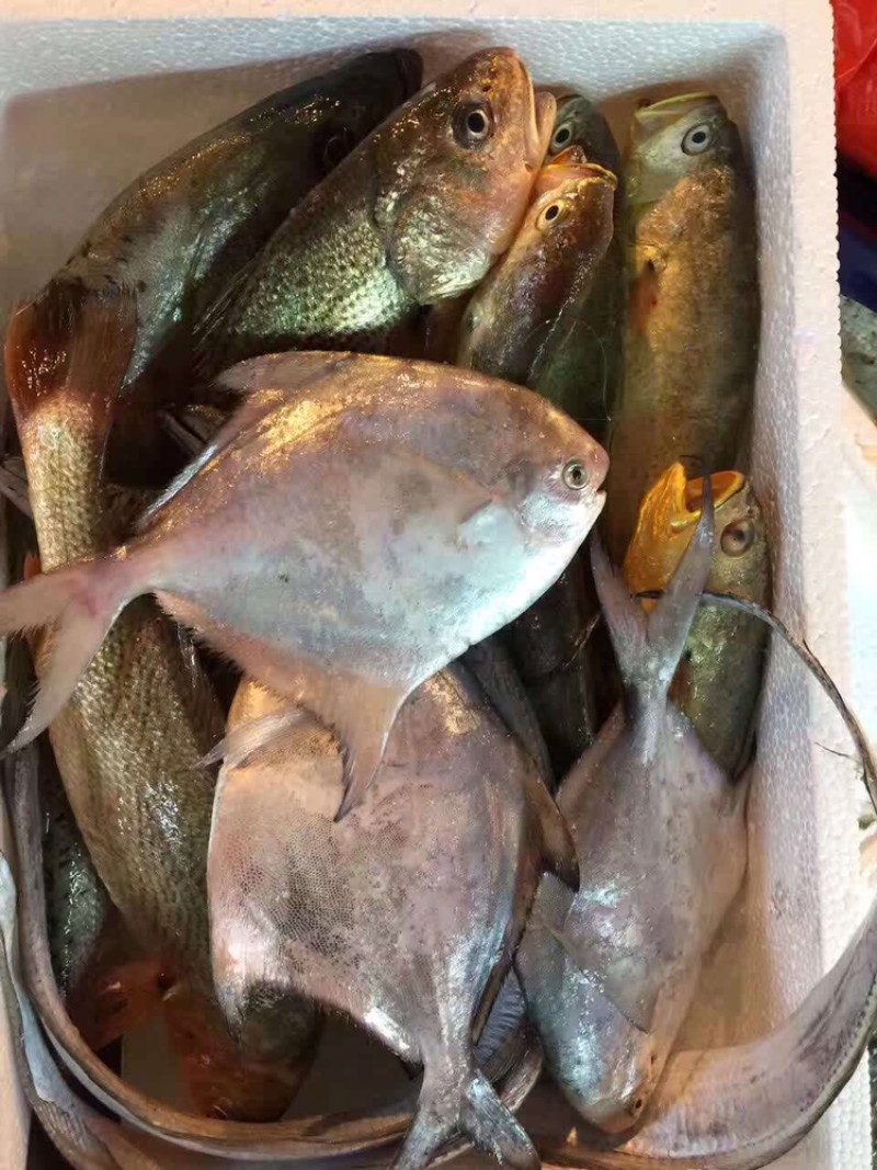 生鲜礼盒组合套装