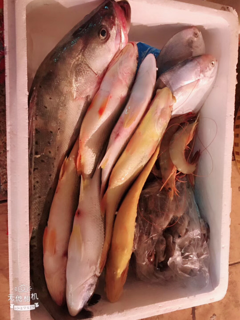 生鲜礼盒组合套装