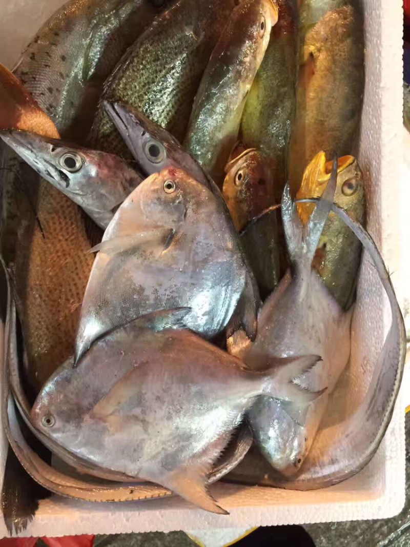 生鲜礼盒组合套装