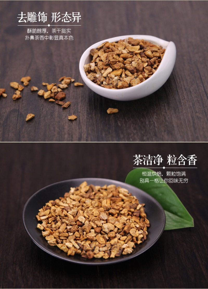 菊苣