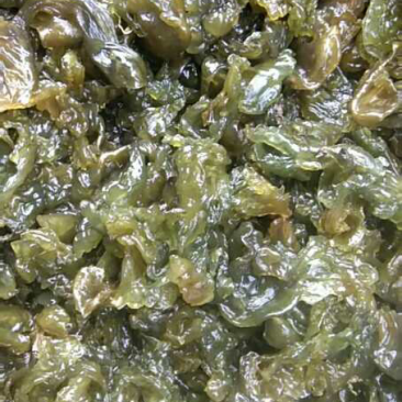 地木耳，地皮菜，地软，地皮菇，野生鲜货一手货源