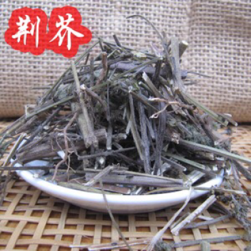 荆芥