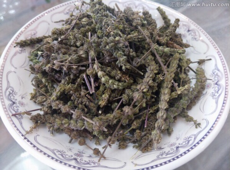 荆芥