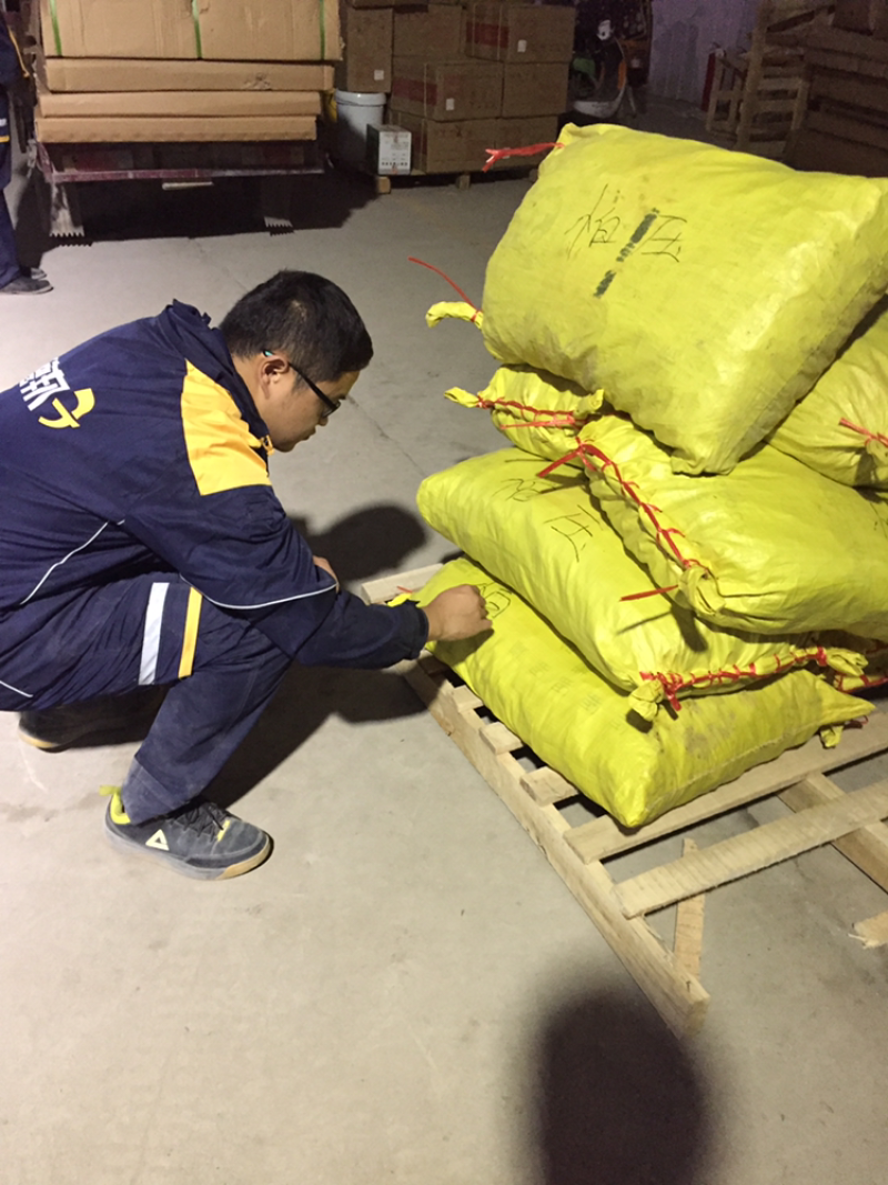 养心草种苗高钙菜苗养心菜种苗救心菜视频看苗