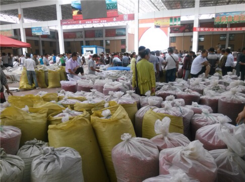 枸杞宁夏特产特级正品产地正宗