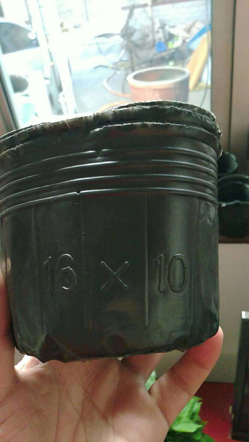16+10营养钵