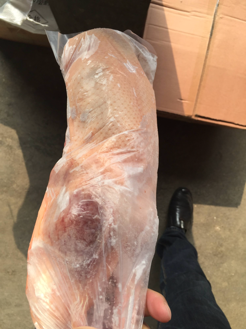 大量供应白条鸭