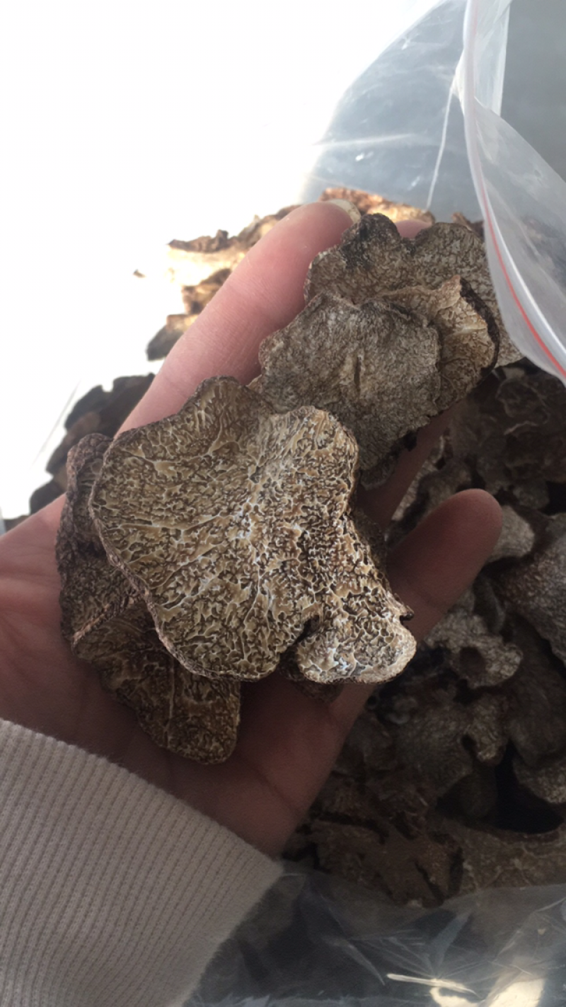 黑松露干品，黑松露干片，所有规格齐全