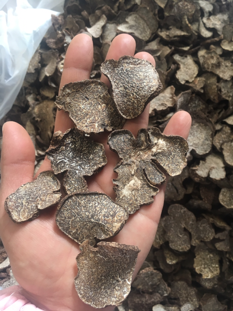 黑松露干品，黑松露干片，所有规格齐全