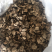 黑松露干品，黑松露干片，所有规格齐全