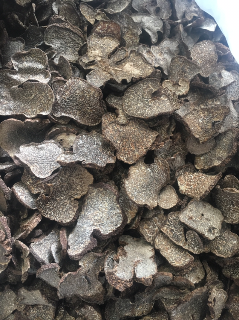 黑松露干品，黑松露干片，所有规格齐全