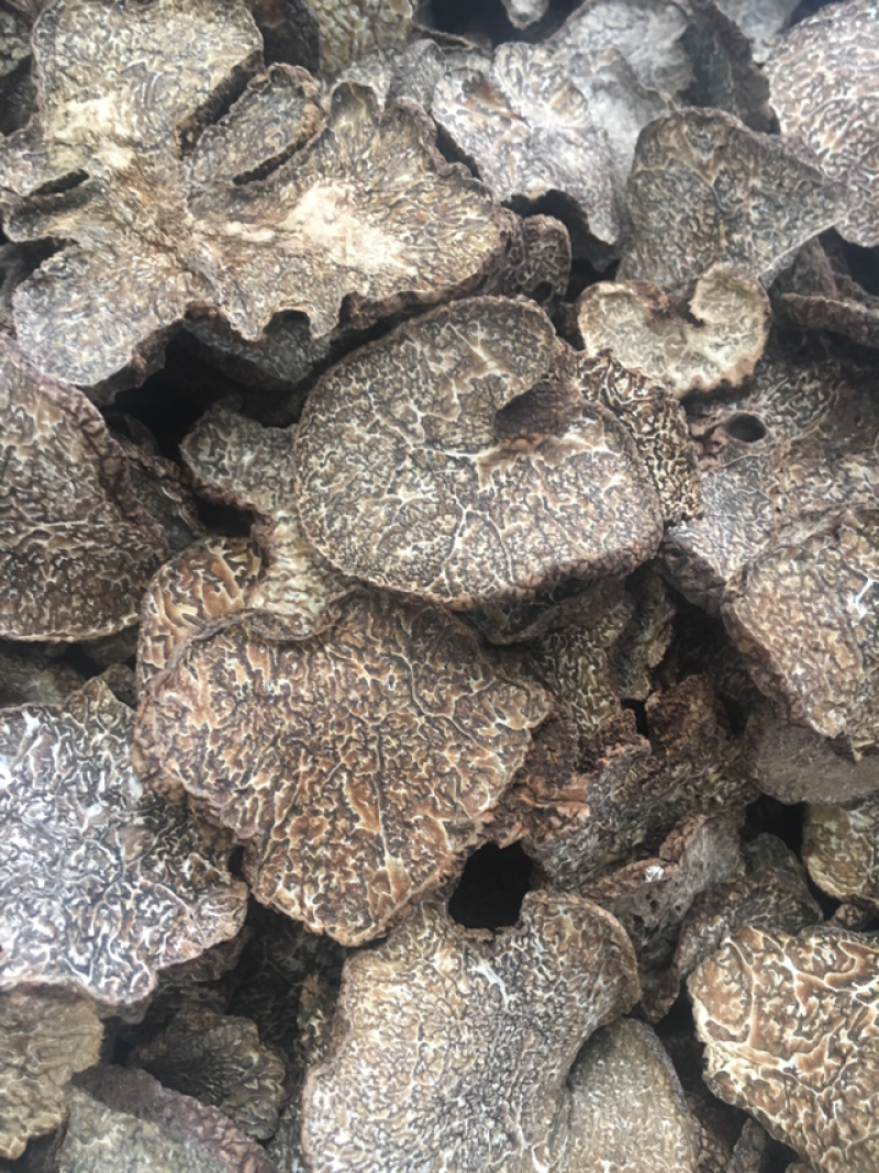 黑松露干品，黑松露干片，所有规格齐全