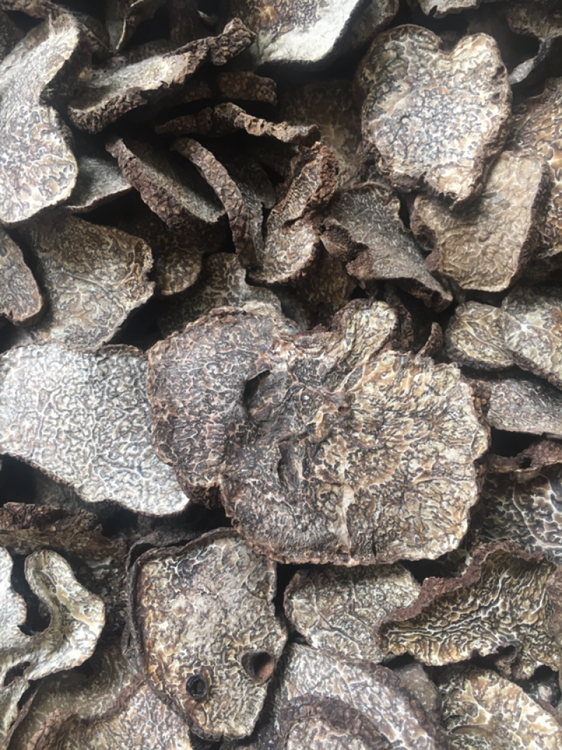 黑松露干品，黑松露干片，所有规格齐全