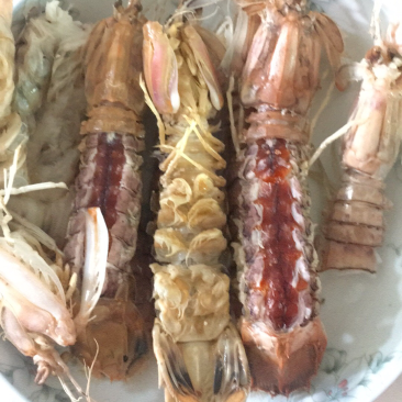 北海皮皮虾濑尿虾虾爬子，鲜活，熟冻，冰鲜均可发货