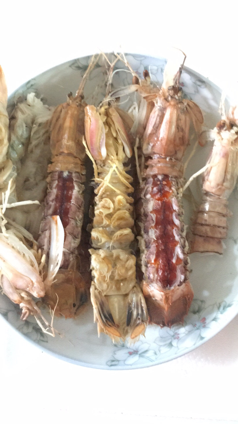 北海皮皮虾濑尿虾虾爬子，鲜活，熟冻，冰鲜均可发货