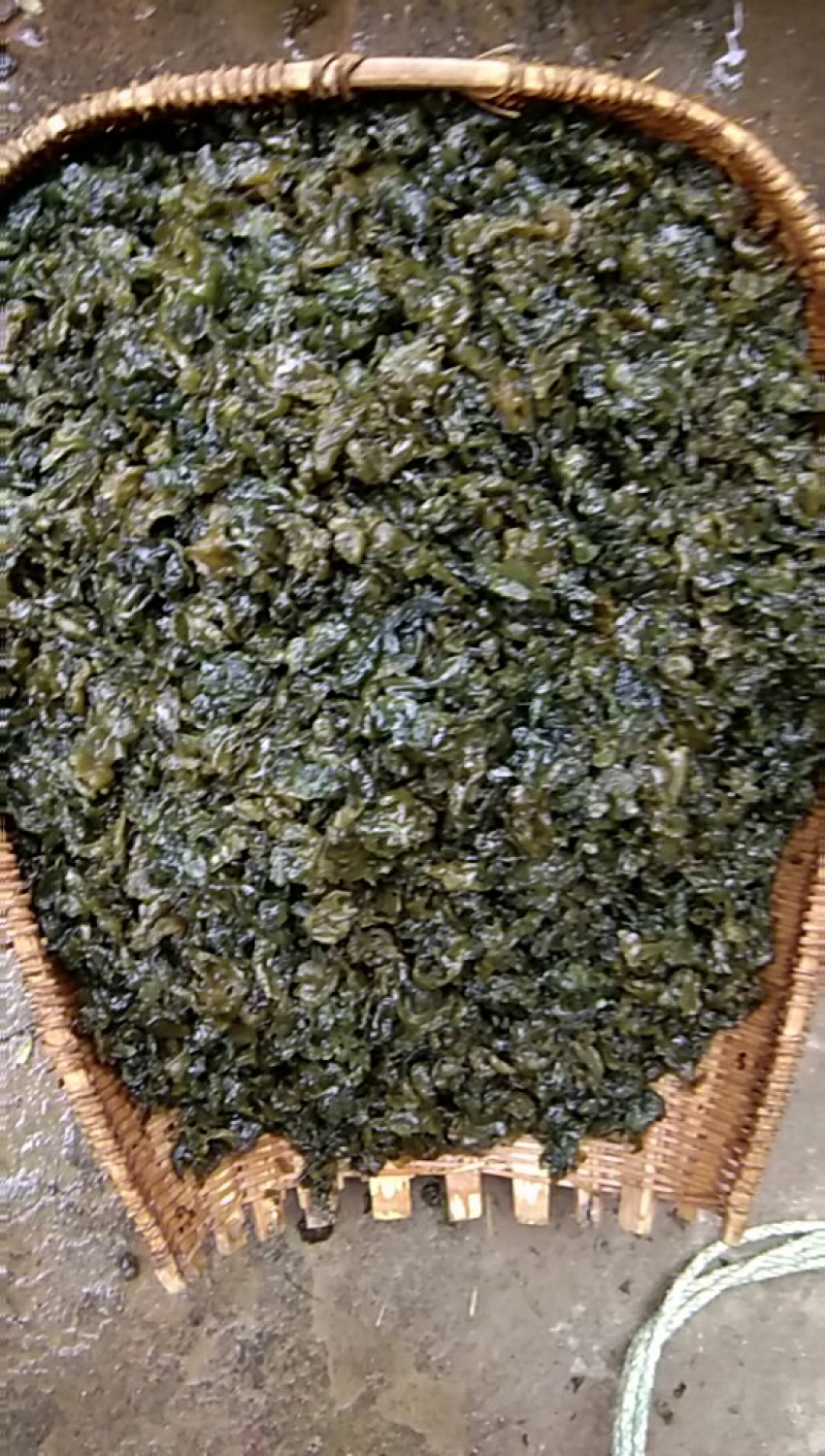 地木耳，地皮菜，地软，地皮菇，野生鲜货一手货源