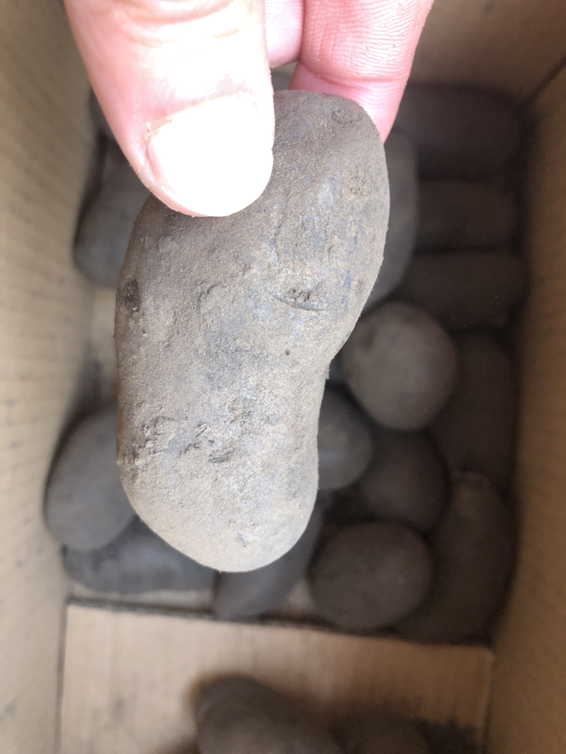 紫土豆黑土豆花青素土豆批发