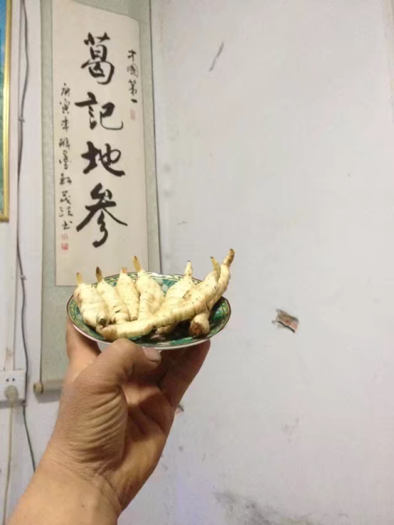 正宗山东郓城虫草参地参优质种参泽兰根虫草地参