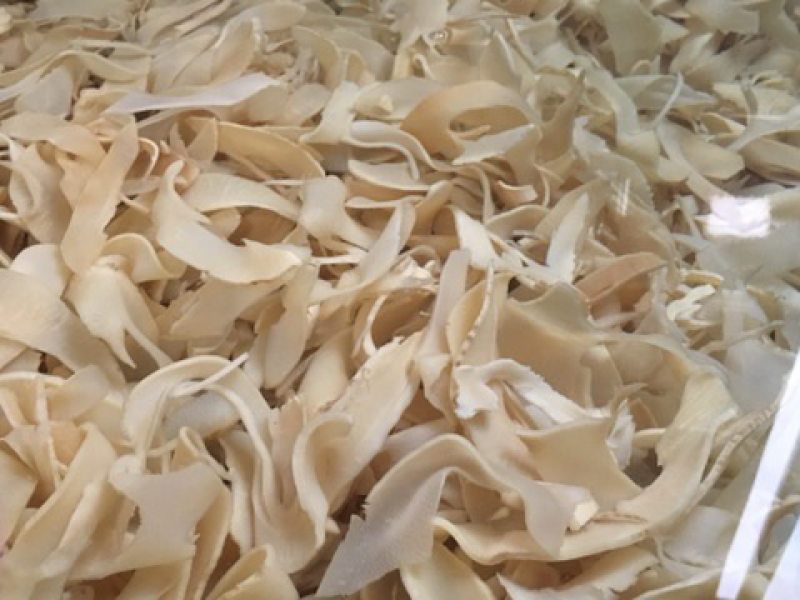 石花尖肚片笋酒店特色菜高山食材快餐食堂专用