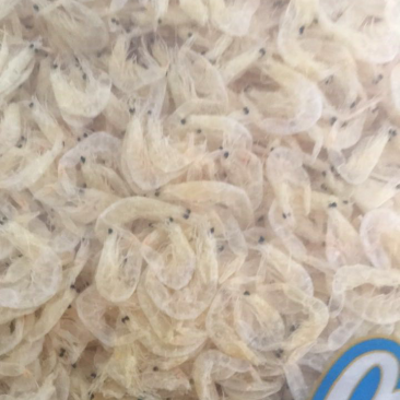 淡干大虾皮