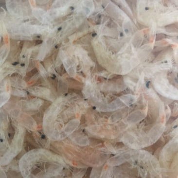 淡干特大特级虾皮