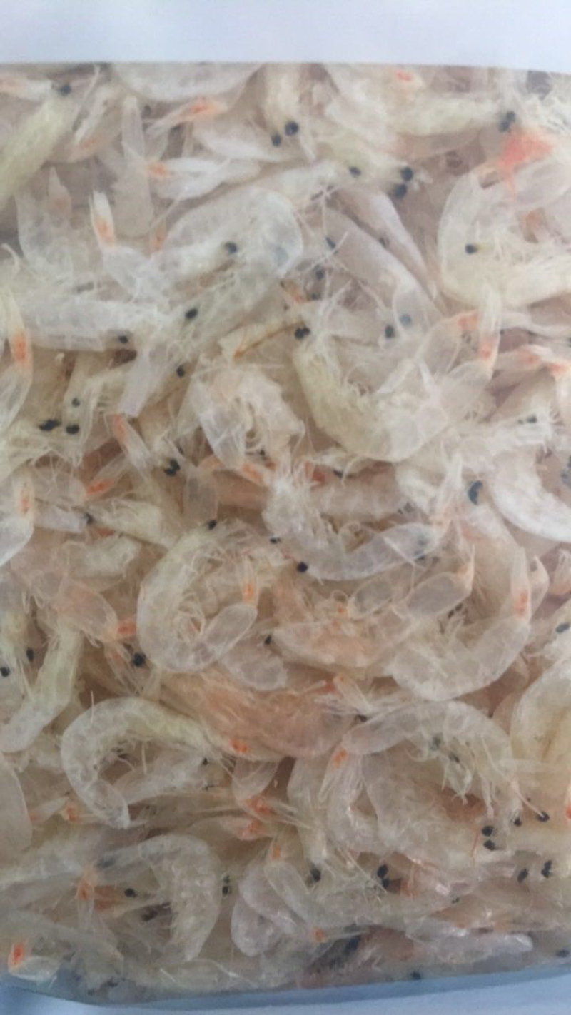 淡干特大特级虾皮