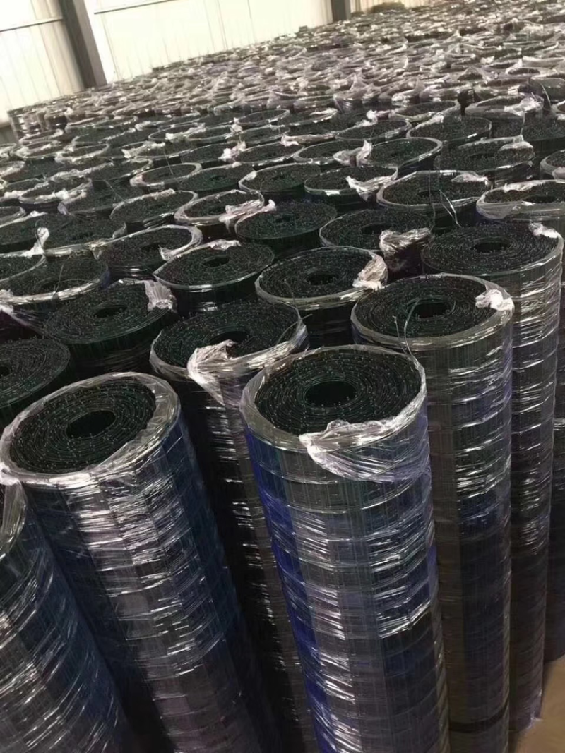 果园围网养殖场围网防护网荷兰网铁丝网养鸡网护栏网