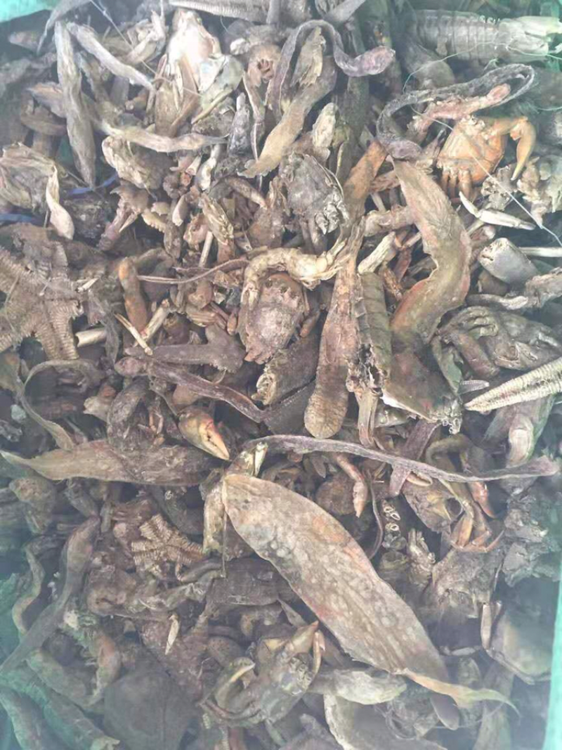 鱼干鱼粉厂家直销常年供货质优价廉