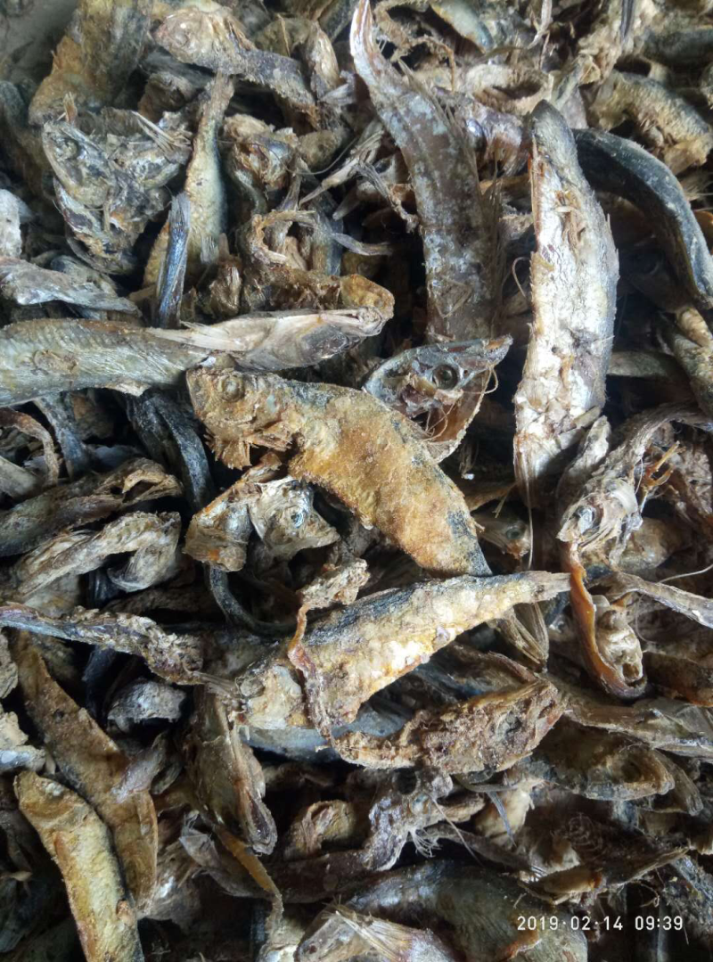 鱼干鱼粉厂家直销常年供货质优价廉