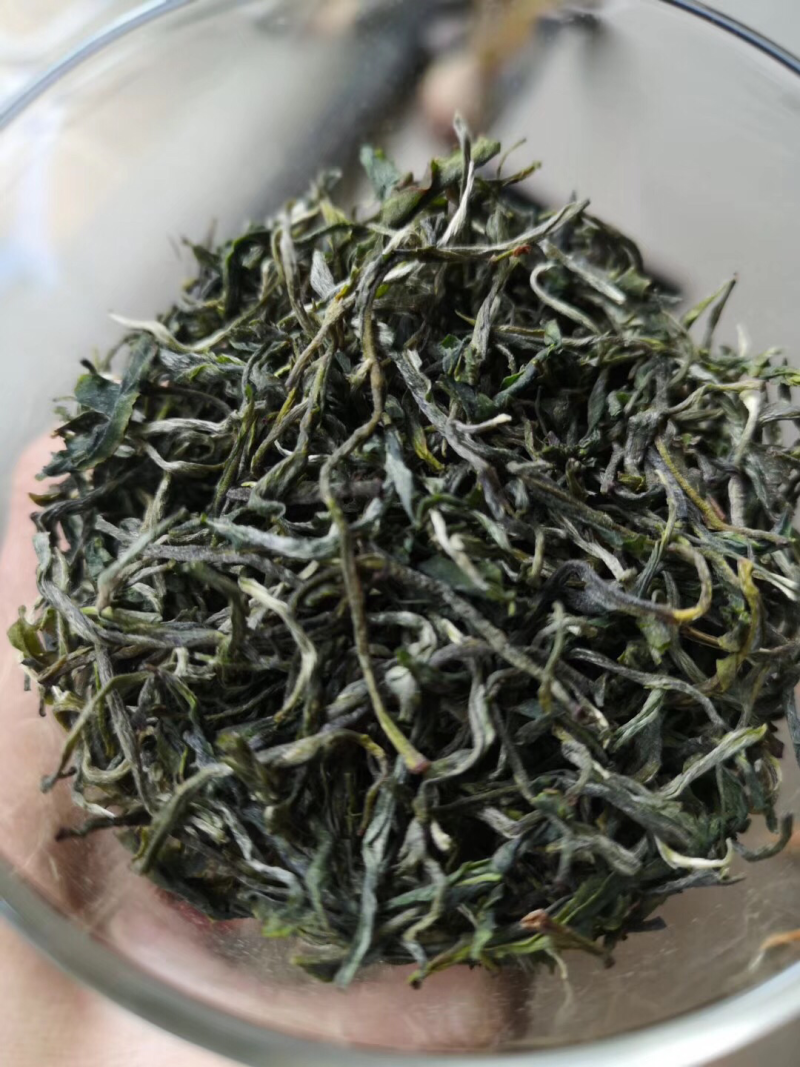 云南头春绿茶