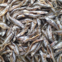 油炸白肖有味一手货源一年四季有货
