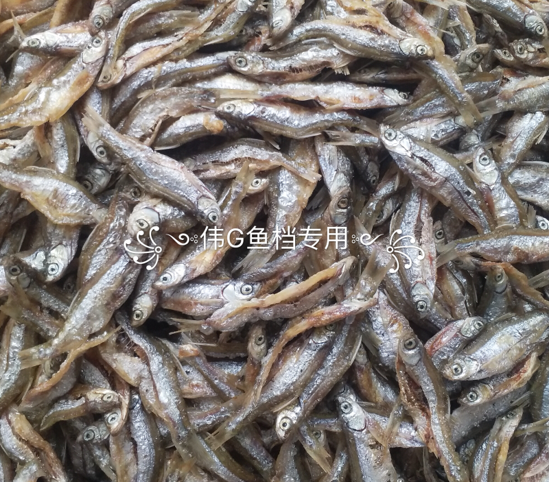 油炸白肖有味一手货源一年四季有货