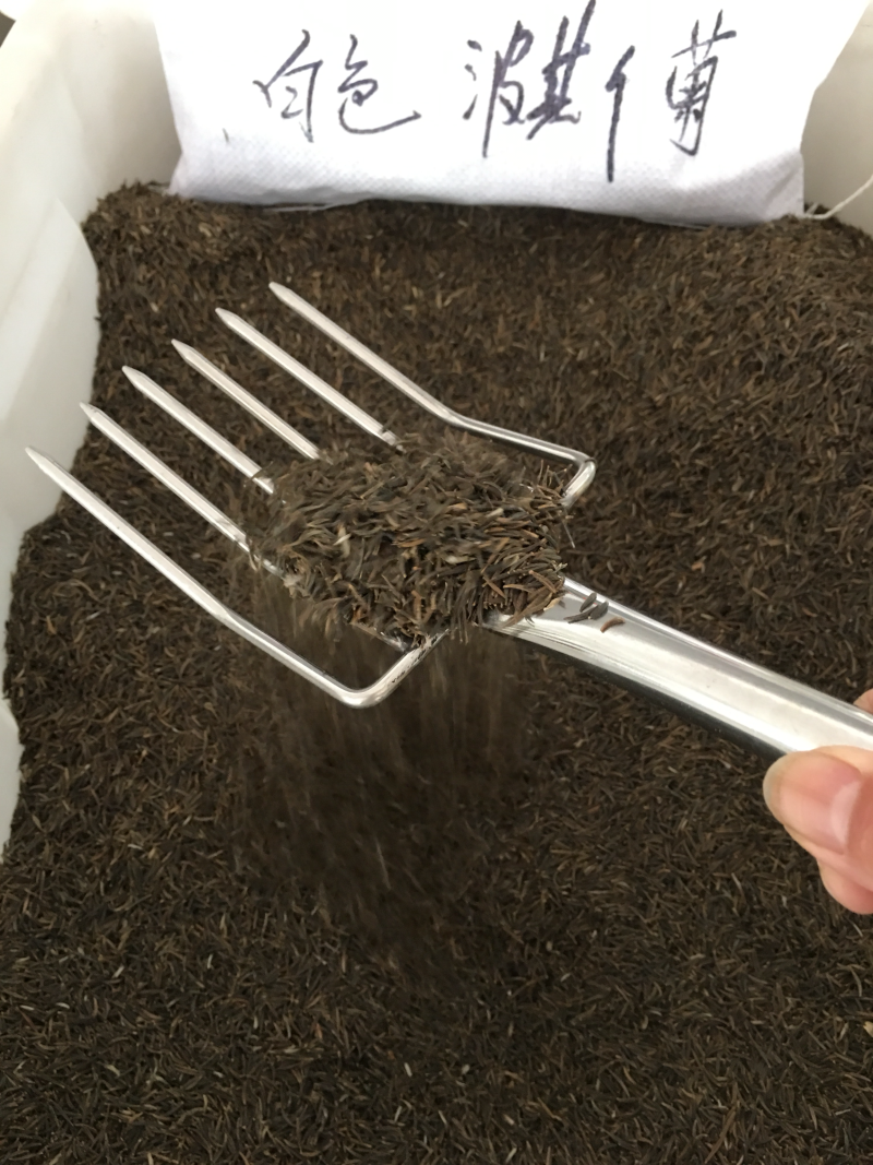 红三叶种子白三叶种子保证正品保证发芽率提供发票