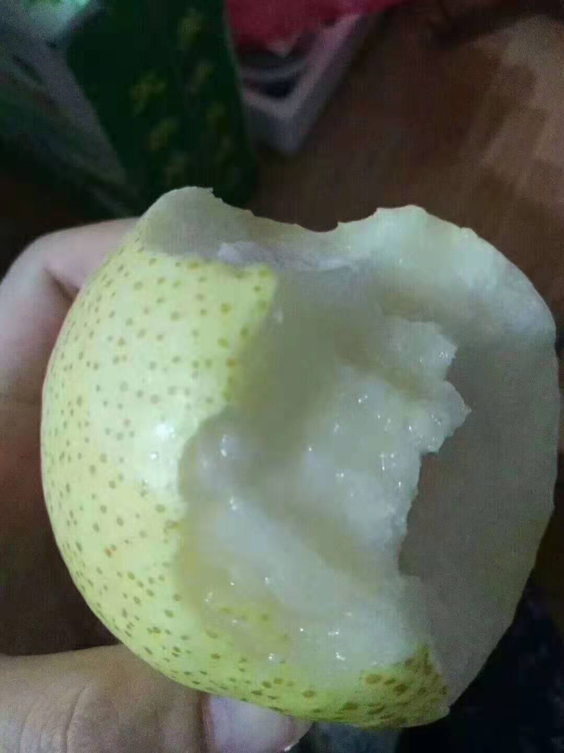 砀山酥梨特级货