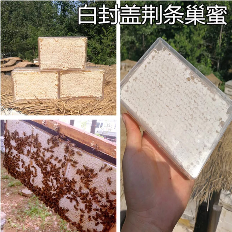 蜂巢蜜一斤装荆条蜜蜂蜜野生蜂蜜