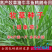 甜象草种子南方北方多年生四季高产喂猪牛羊鸡鸭鹅鱼兔