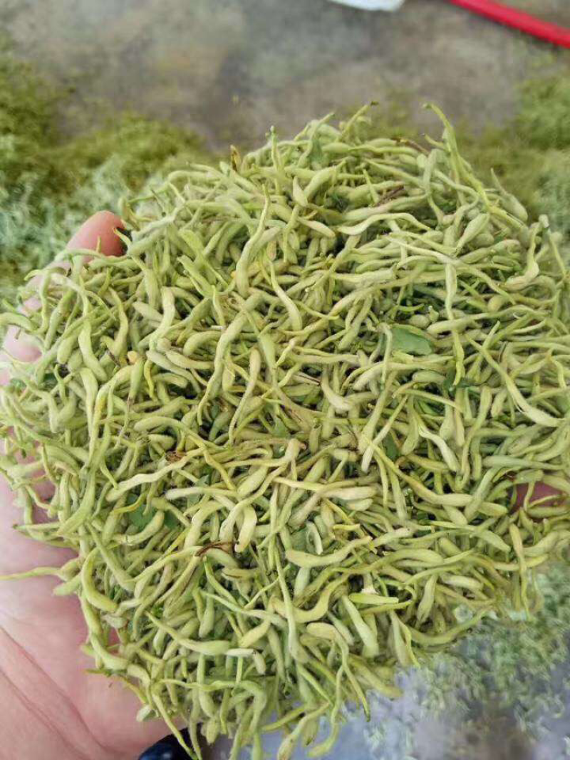 金银花金银花茶山东金银花茶2025年新金银花烘干