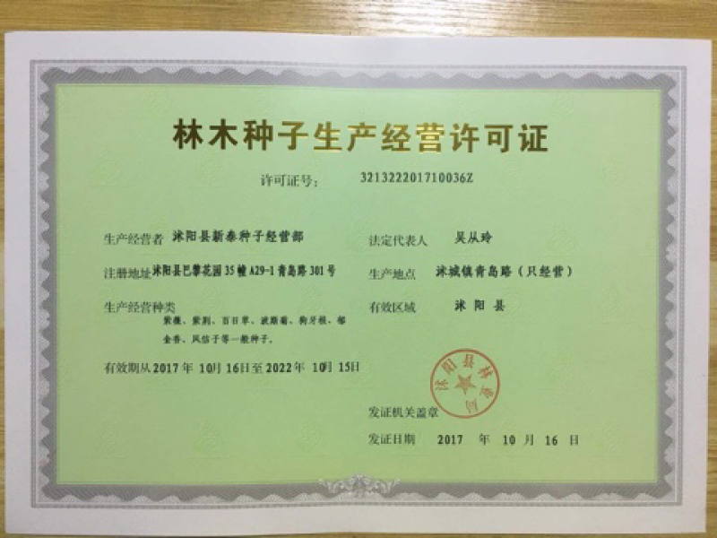 甜象草种子南方北方多年生四季高产喂猪牛羊鸡鸭鹅鱼兔