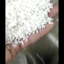 纯正五常稻花香大米自产自销，还有40000斤。