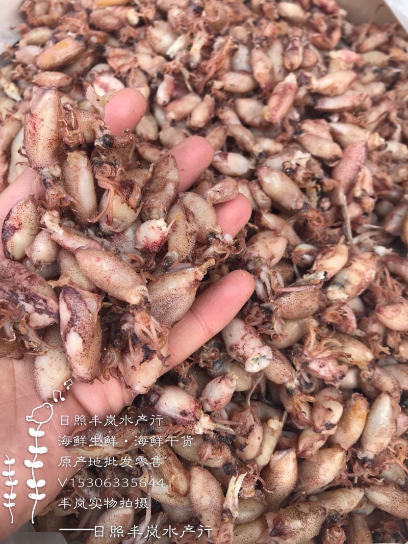 海兔干墨鱼干小子乌干鱿鱼仔干