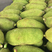 广东菠萝蜜，电商货市场代发一手货源场地直发质量保证