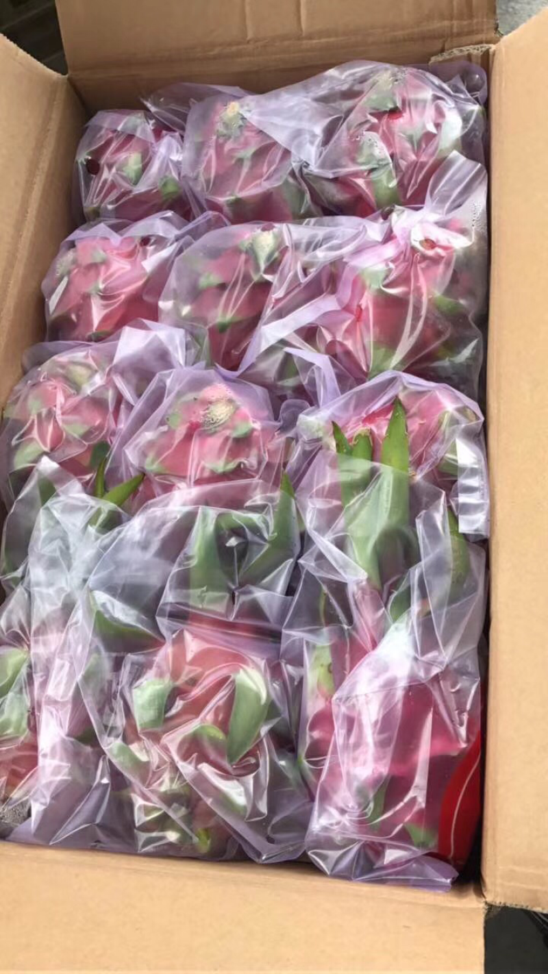 白肉火龙果