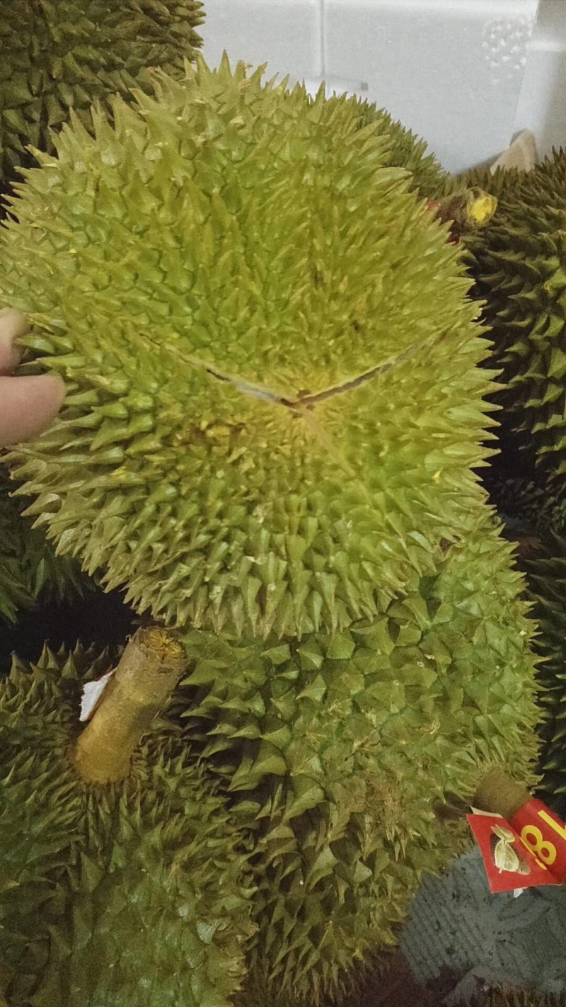 越南猫山王榴莲