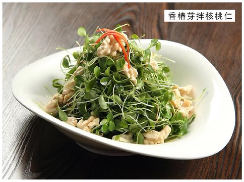 香椿种子芽苗菜红椿红香椿香椿树盆栽四季播红油香椿种子包邮