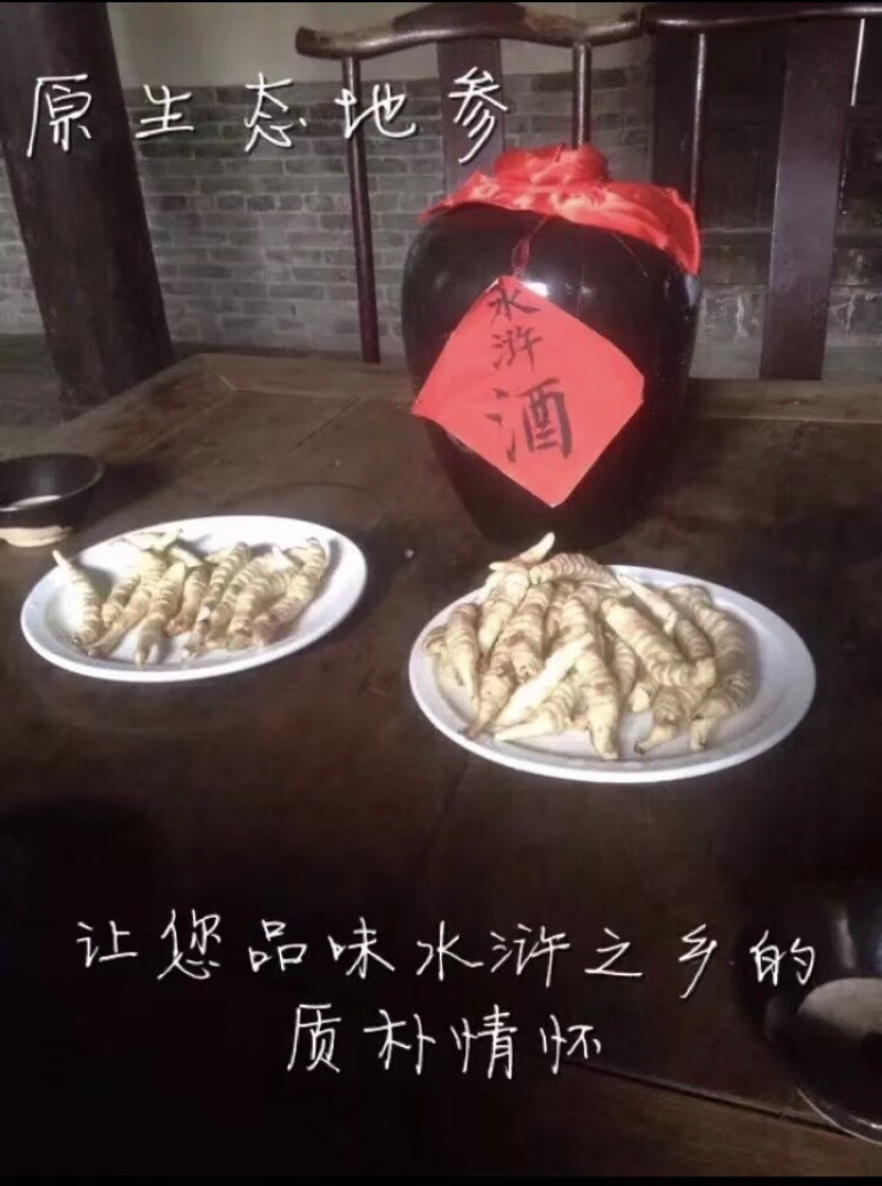 地参虫草参泽兰根干地参可视频看货