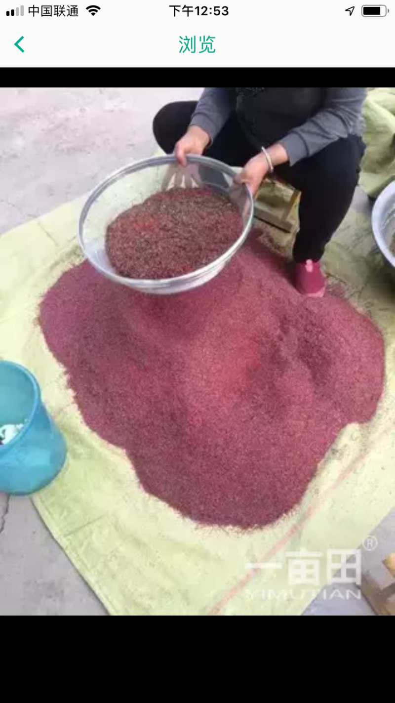 梨花粉