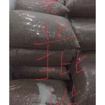 黄粉虫干专业批发
