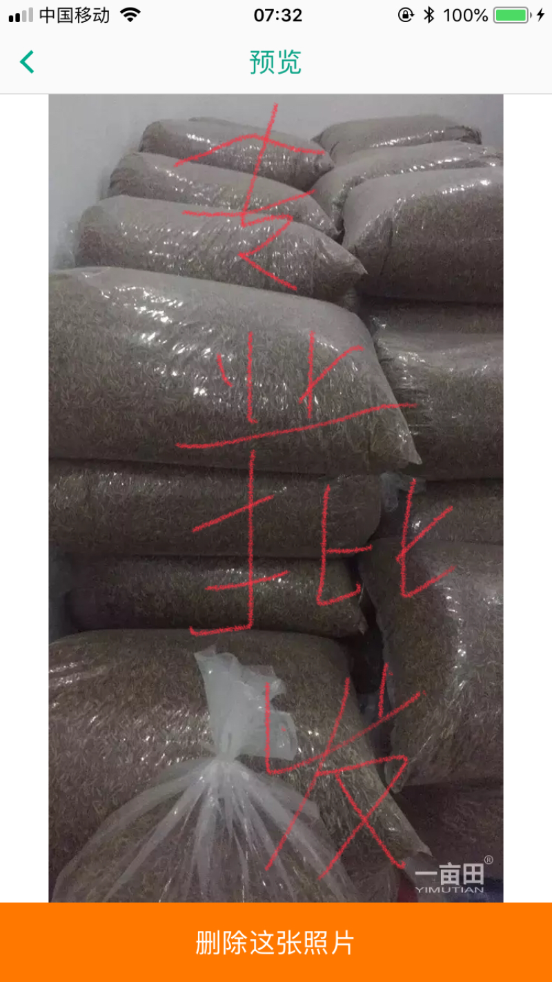 黄粉虫干专业批发