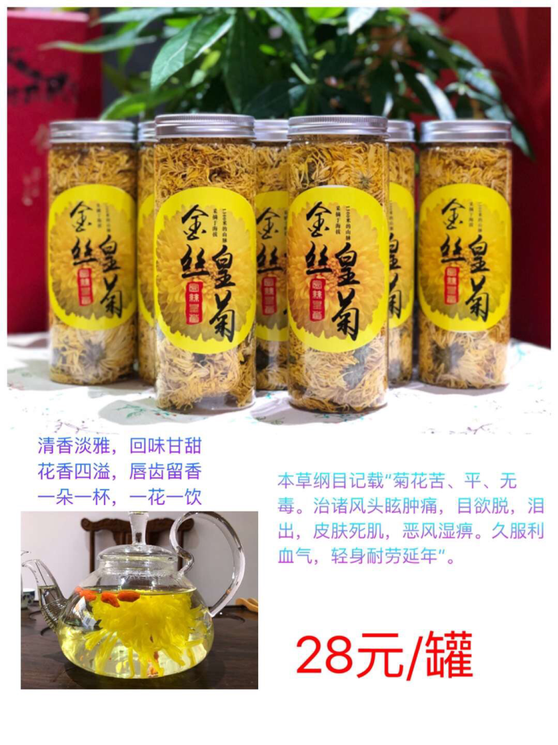 金丝黄菊