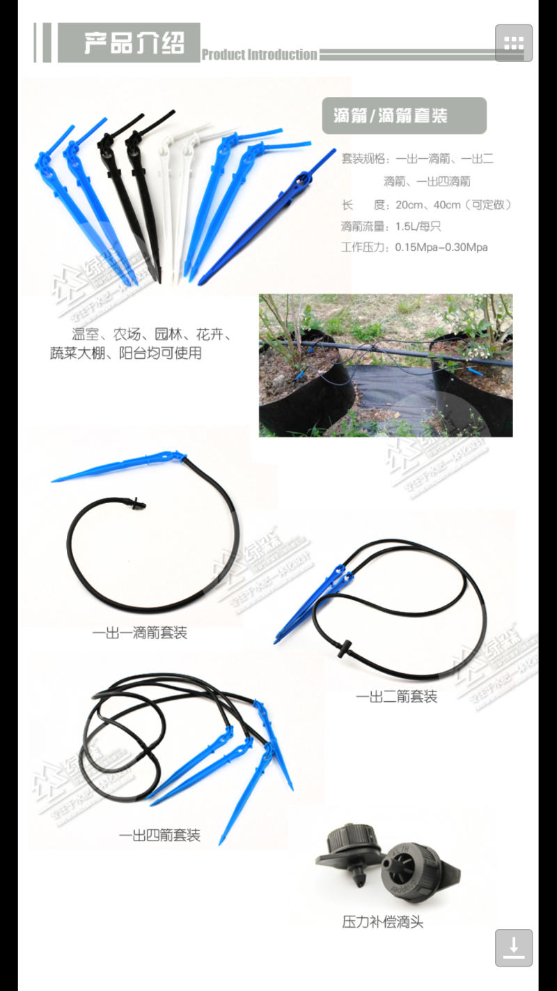 大棚温室盆栽滴箭一出二一出四滴箭